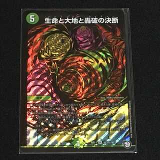 生命と大地と轟破の決断（シク版）１枚