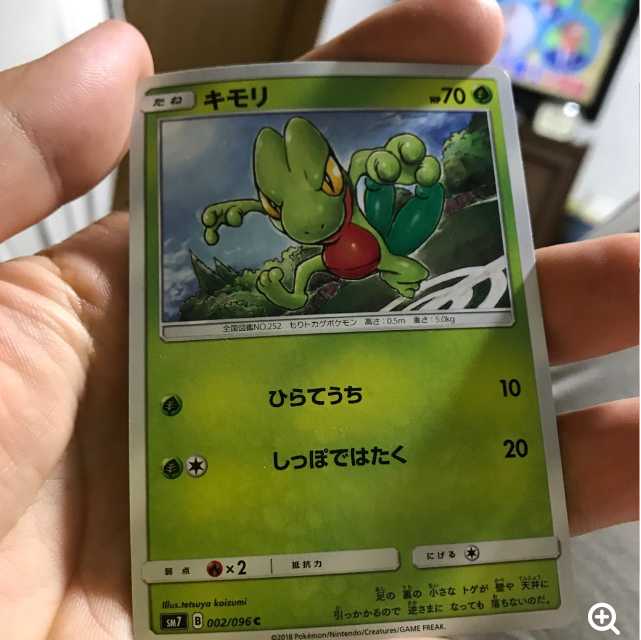 mg 8-12 Used Treecko