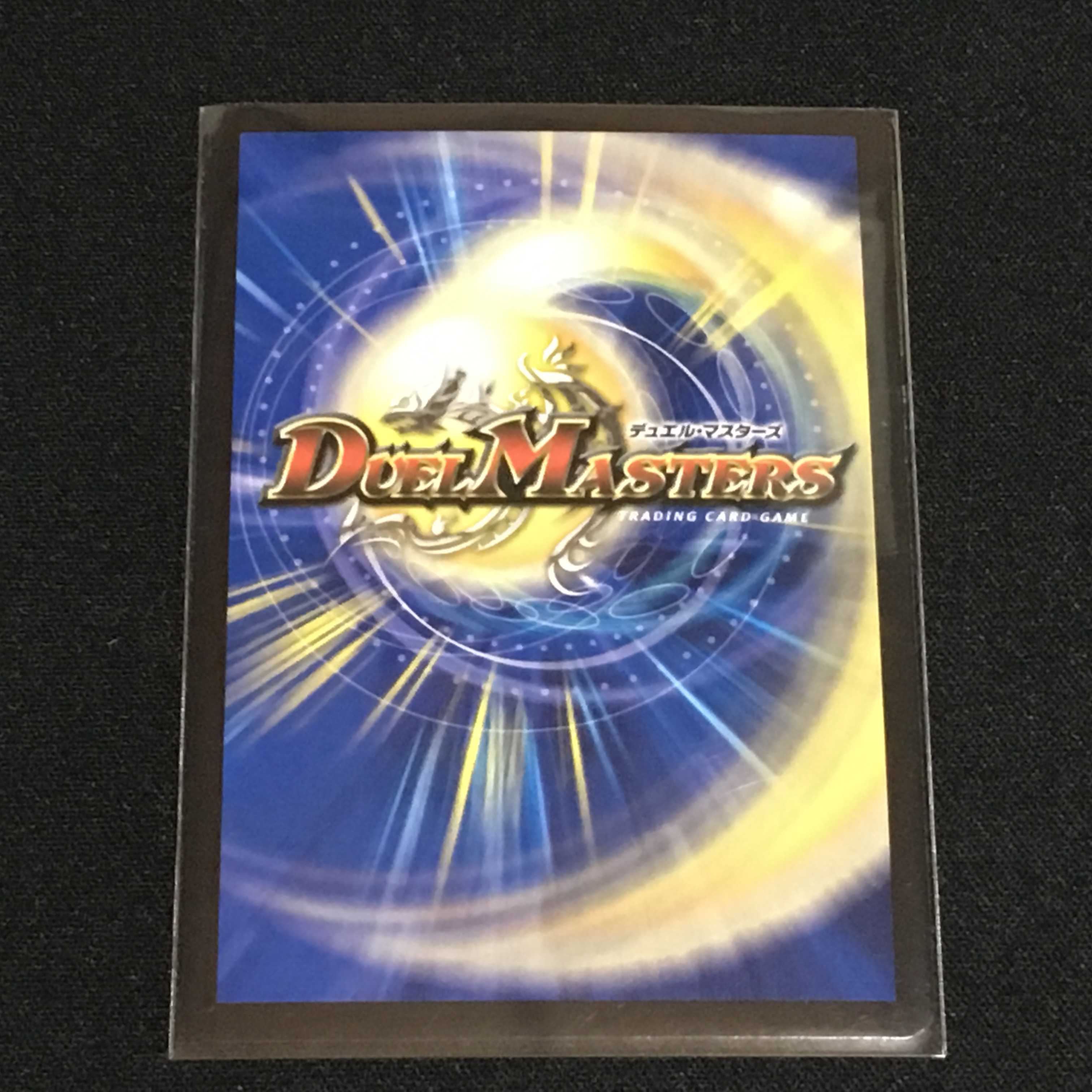 生命と大地と轟破の決断 1枚