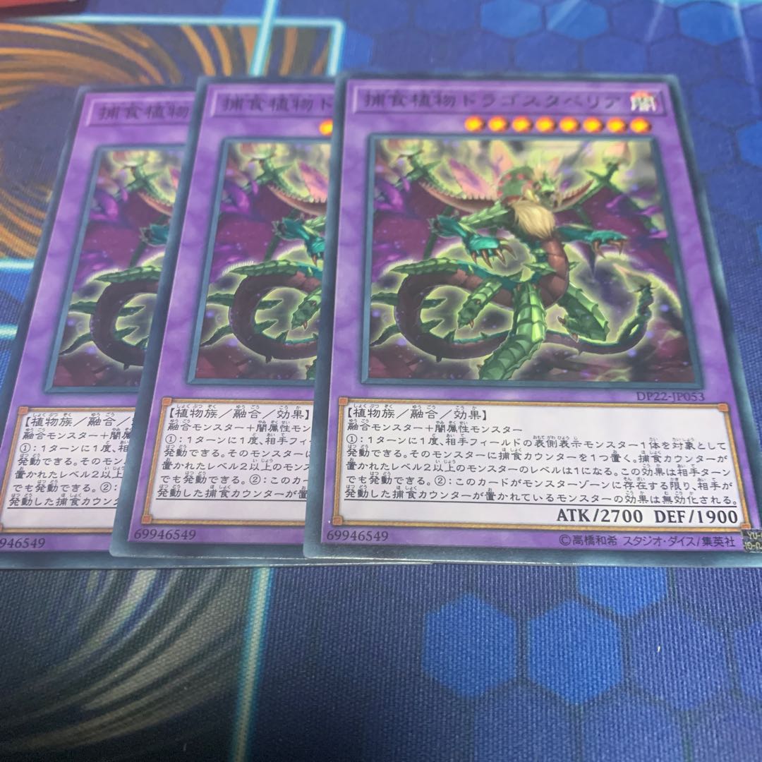 Predaplant Dragostapelia Normal