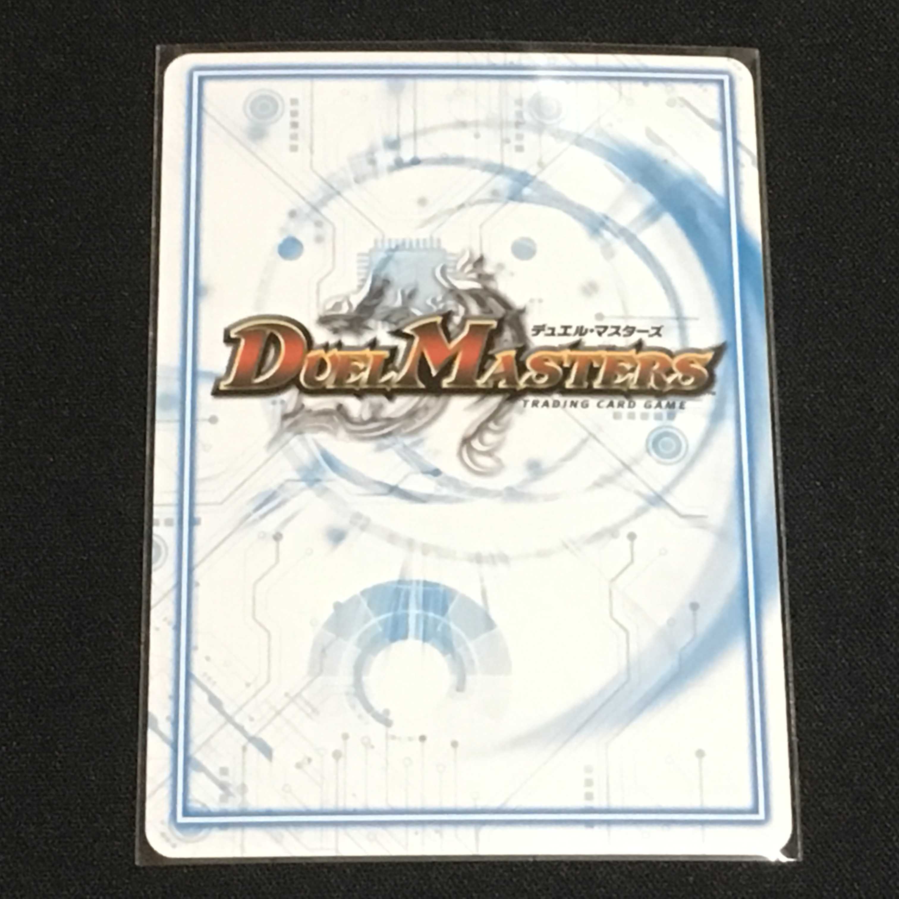 ヘルエグリゴリ-零式（シク版）１枚