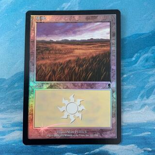 MTG foil Plains
