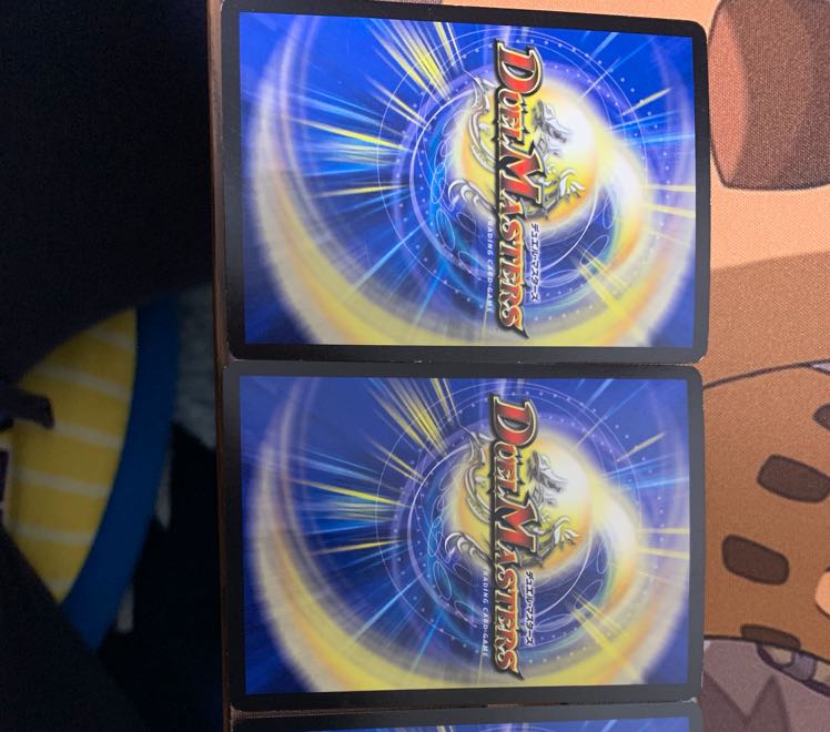 シャーマン様専用