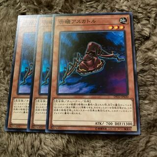 マドレース1101赤蟻アスカトル ノーマル