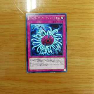 バージェストマ・ディノミスクス