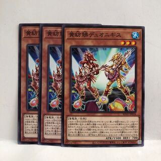 黄紡鮄デュオニギス ノーマル　3枚　マホ子