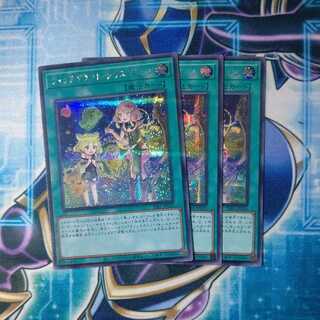 ウィッチクラフト・クリエイション シークレット ３枚セット