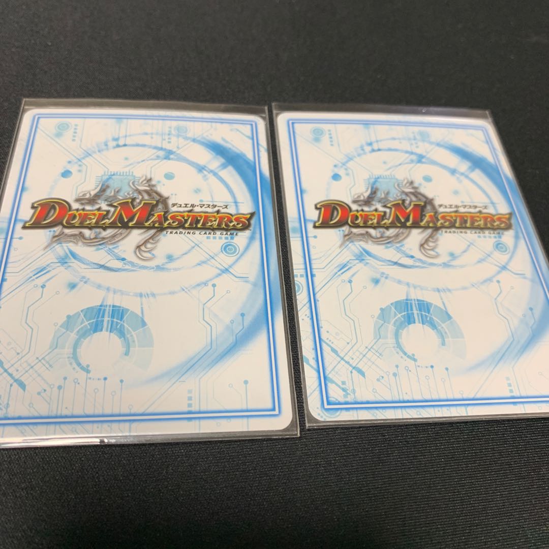 ①白皇角の意志ルーベライノ2枚