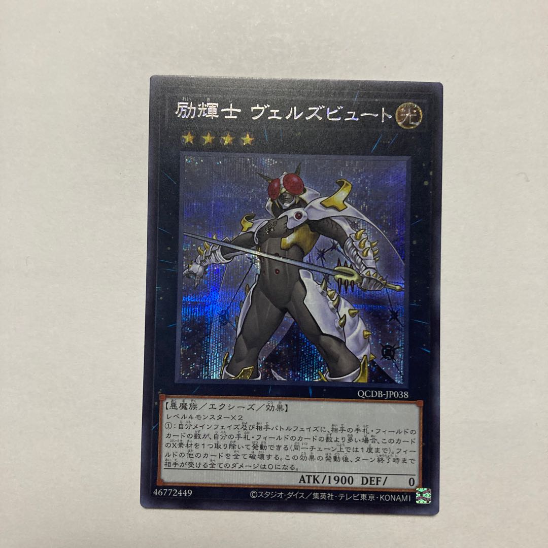 Exclusive Exhibit 1枚