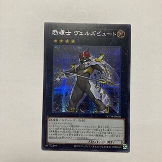 Exclusive Exhibit 1枚