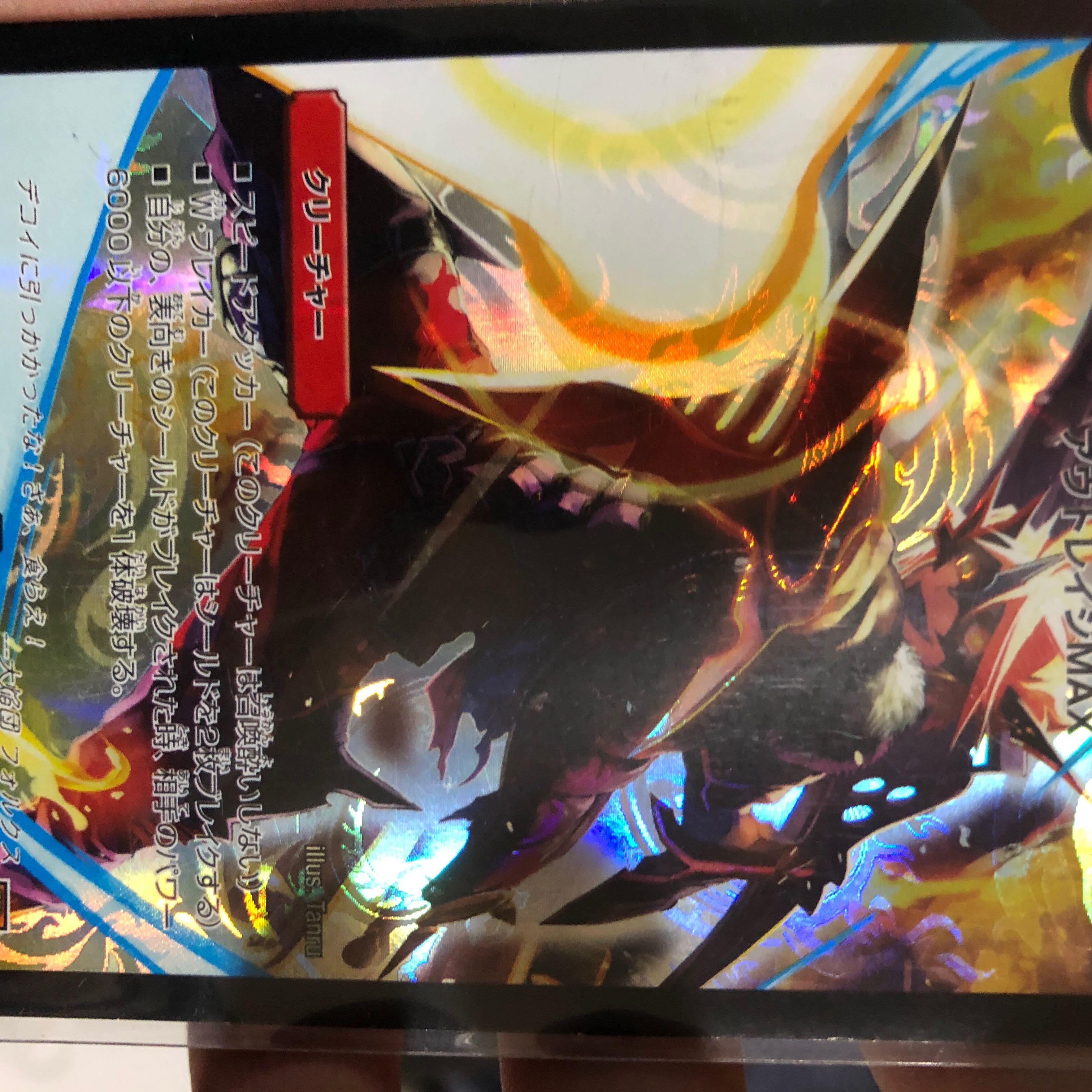 フォルクス 1枚