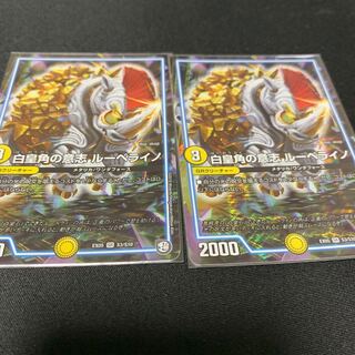 専用　　④白皇角の意志ルーベライノ