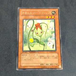 遊戯王 - 山屋　即日発送　ナチュルデッキ　構築済みデッキ　まとめ売り ナチュル・マンティス ナチュル・アントジョー ナチュル・ローズウィップ ナチュルの神星樹 ナチュル・エクストリオ 遊戯王 - 山屋 即日発送 ナチュルデッキ 構築済みデッキ まとめ