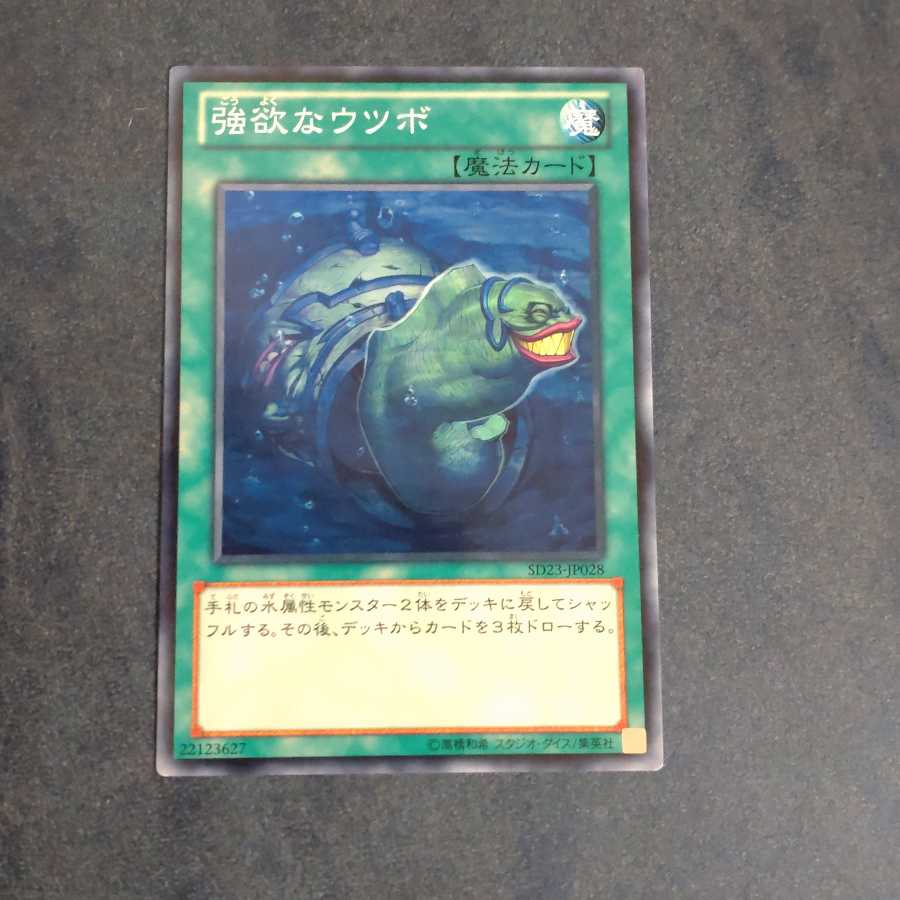 強欲なウツボ ノーマル 【木林堂】