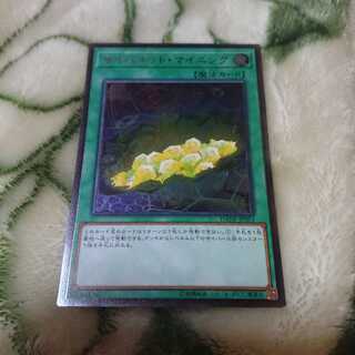 サイバネットマイニング