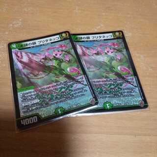 Unmystery Chain Britanekko (Kinkira King Box Specification) Rainbow Foil, Set of Two