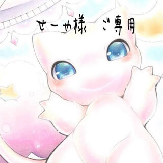 せーや様ご専用