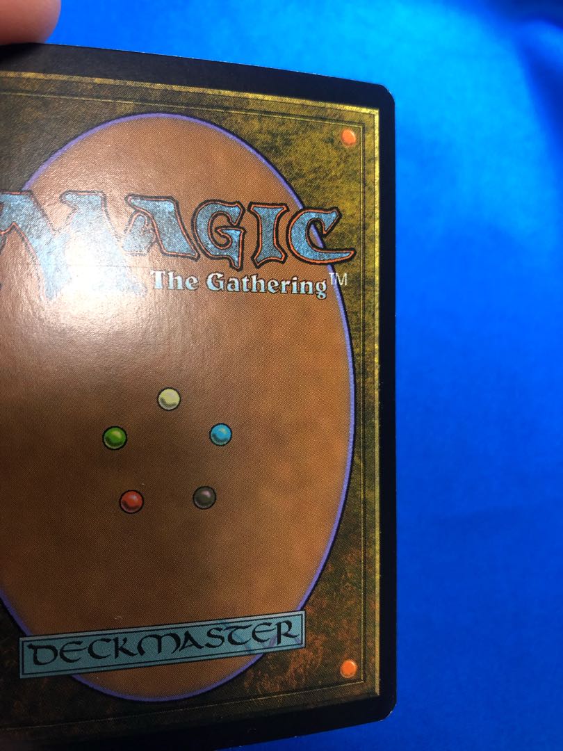 MTG Shelldock Isle foil Low Win English 1枚