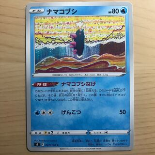 【1枚80円】ナマコブシ　s8 在庫8枚