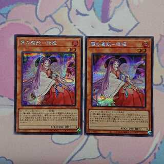 正月限定価格 麗の魔妖-妲姫