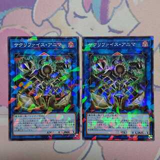 正月限定価格 サクリファイス・アニマ