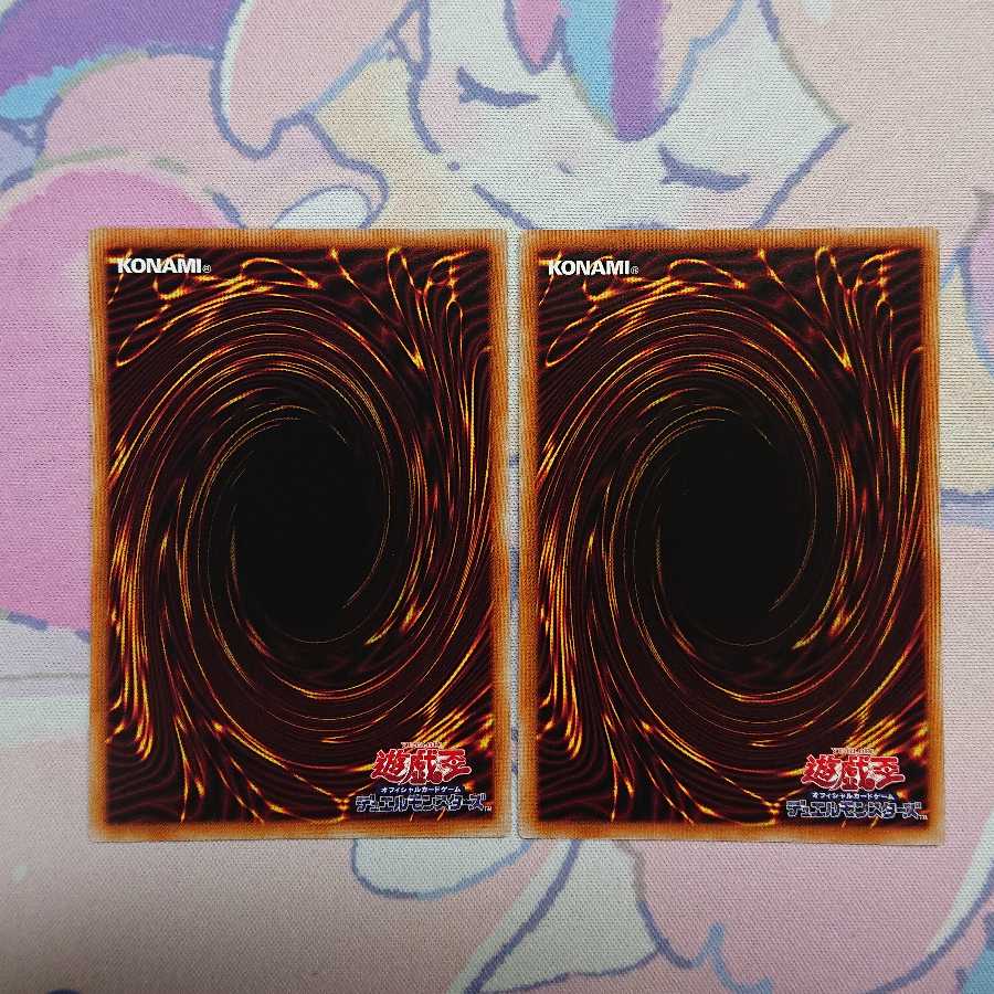 正月限定価格 サクリファイス・アニマ