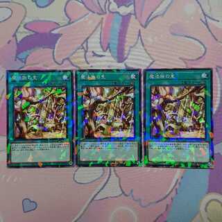 正月限定価格 魔法族の里