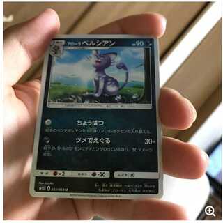 mg 8-12 Koko Persian