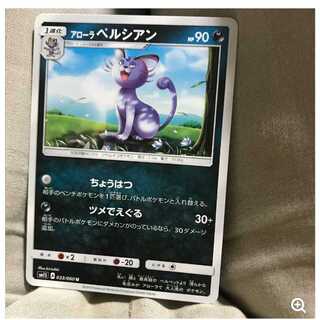 mg 8-12 Koko Persian