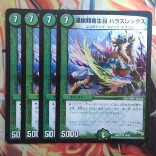 連鎖類寄生目 パラスレックス 四枚セット