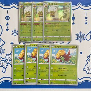 ワタシラガ R ヒメンカ　なかまをよぶ