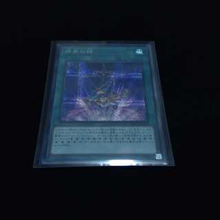 師弟の絆　シク