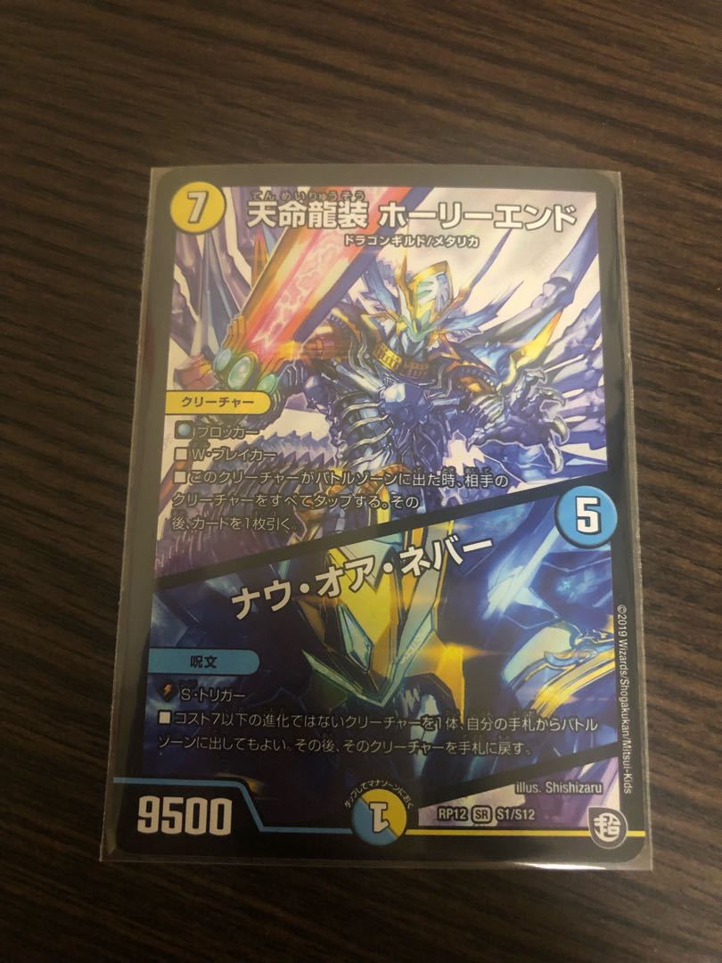 天命龍装 ホーリーエンド/ナウ・オア・ネバー