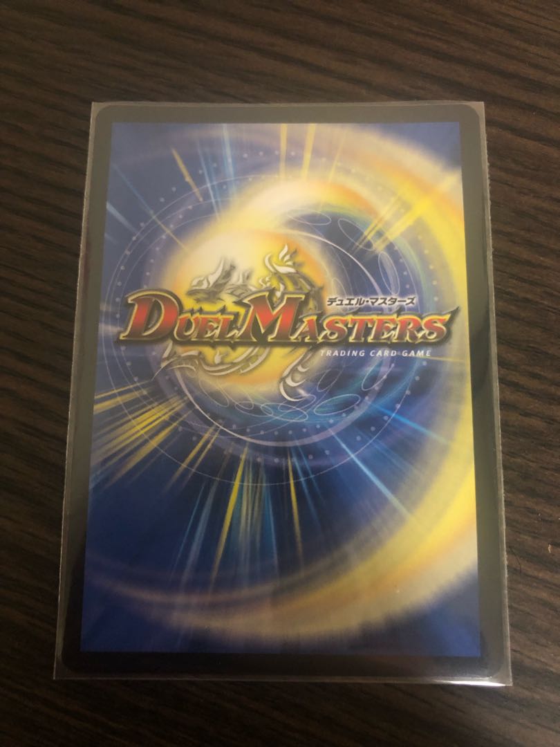 天命龍装 ホーリーエンド/ナウ・オア・ネバー