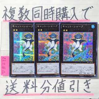 【複数同時購入で送料分値引き！】キャット・シャーク　シク×3枚セット