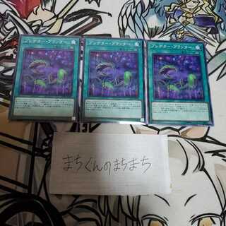 993　プレデター・プランター3枚set