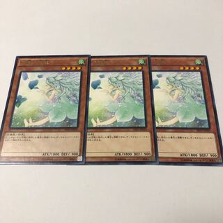 Spirit of the Fall Wind Rare