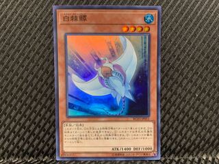 【ぽぽたん】遊戯王   -174  白棘鱏 スーパー