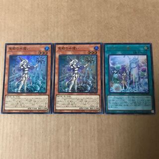 聖殿の水遣いセット