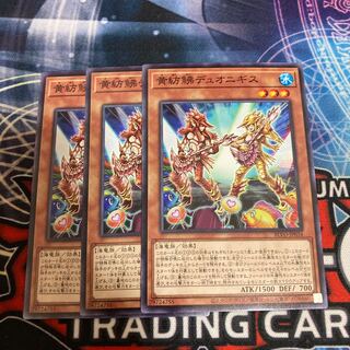 黄紡鮄デュオニギス ノーマル　3枚