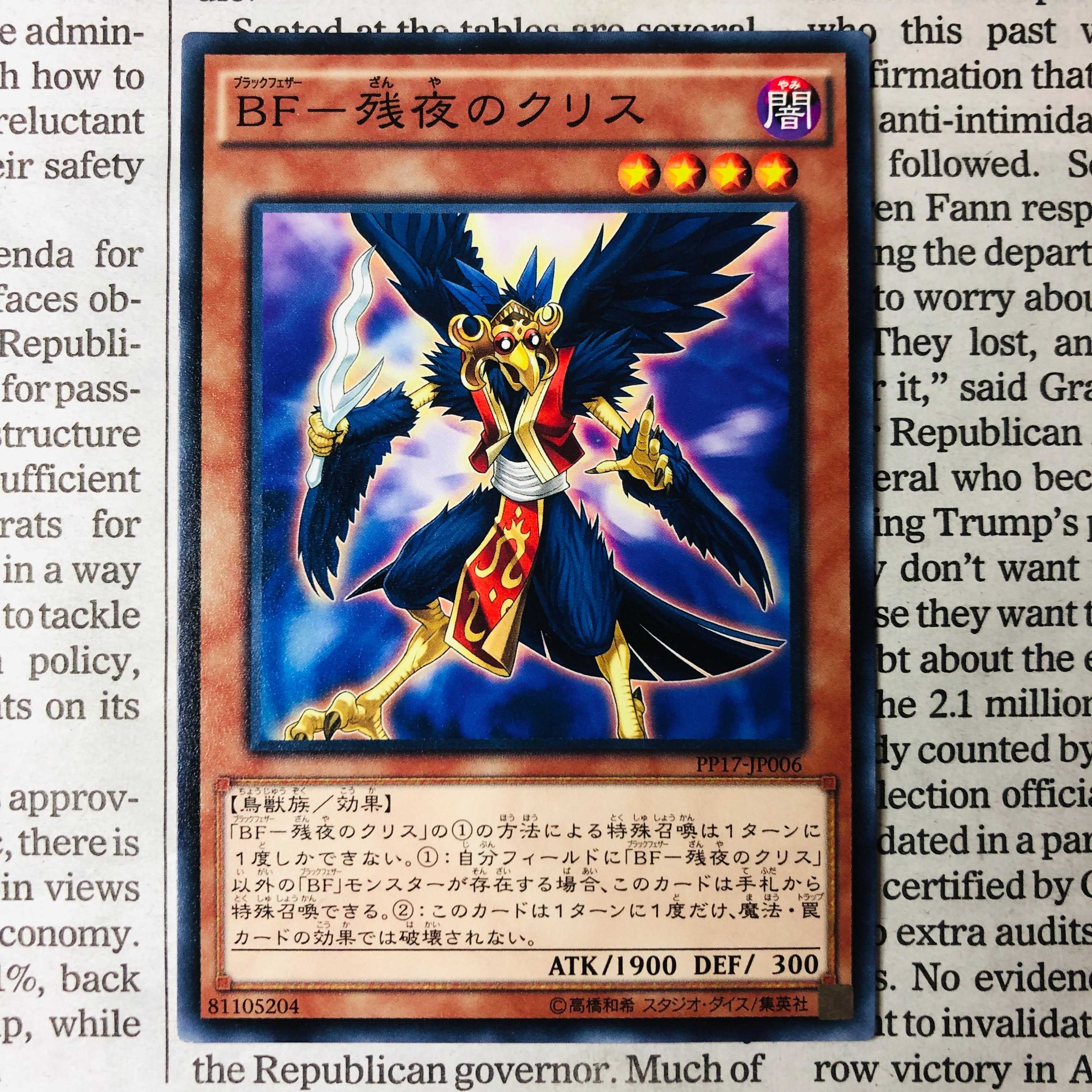 BF-Lingering Night's Qu Squirrel Normal JP006 PP17