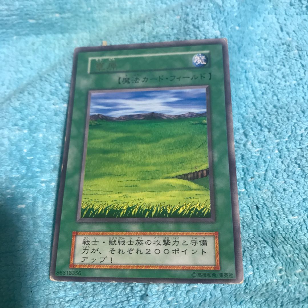 mg8-15 used Grasslands initial