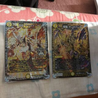 煌龍 サッヴァーク