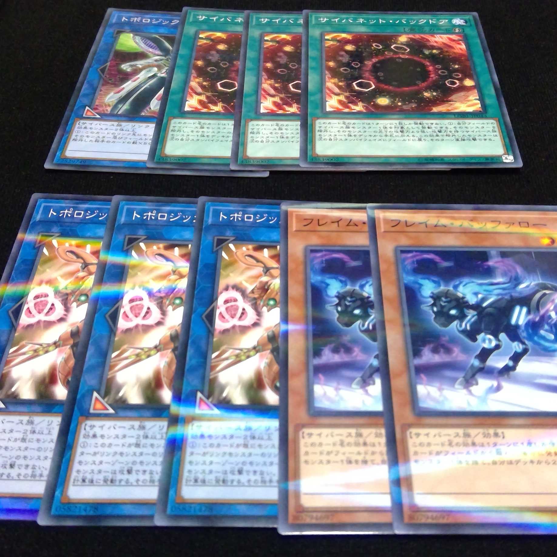 フレイム・バッファロー, サイバネット・バックドア