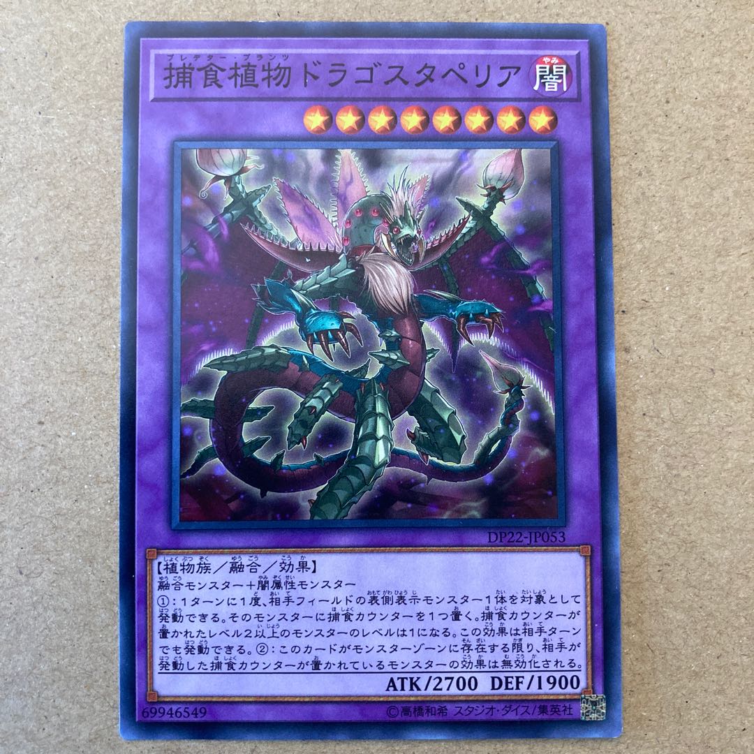 【キズあり】捕食植物ドラゴスタペリア ノーマル