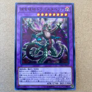 【キズあり】捕食植物ドラゴスタペリア ノーマル　