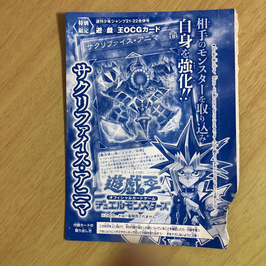 サクリファイス・アニマ