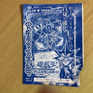 サクリファイス・アニマ