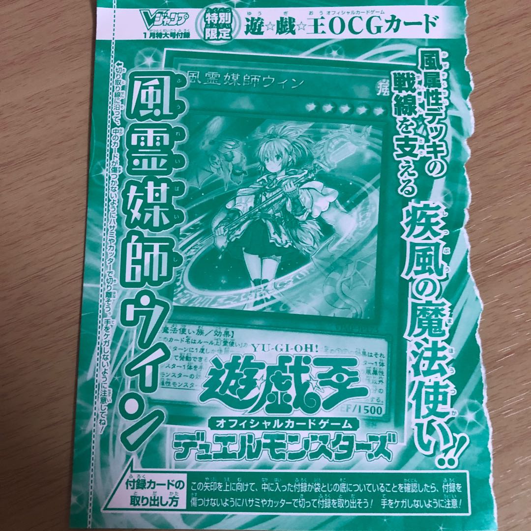 風霊媒師ウィン