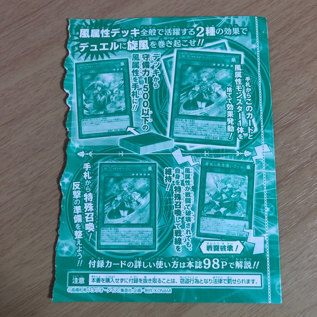 風霊媒師ウィン